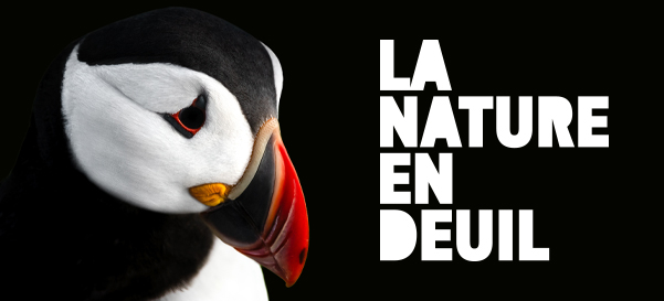 Appel à manifestation Nature en Deuil