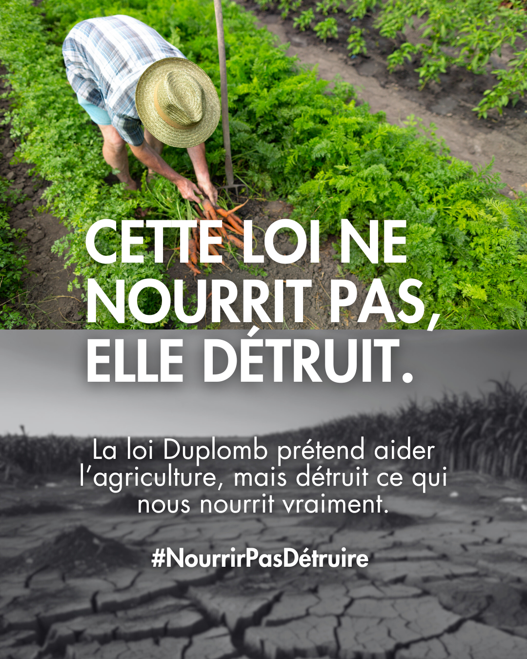 La proposition de loi Duplomb ne nourrit pas. Elle détruit.