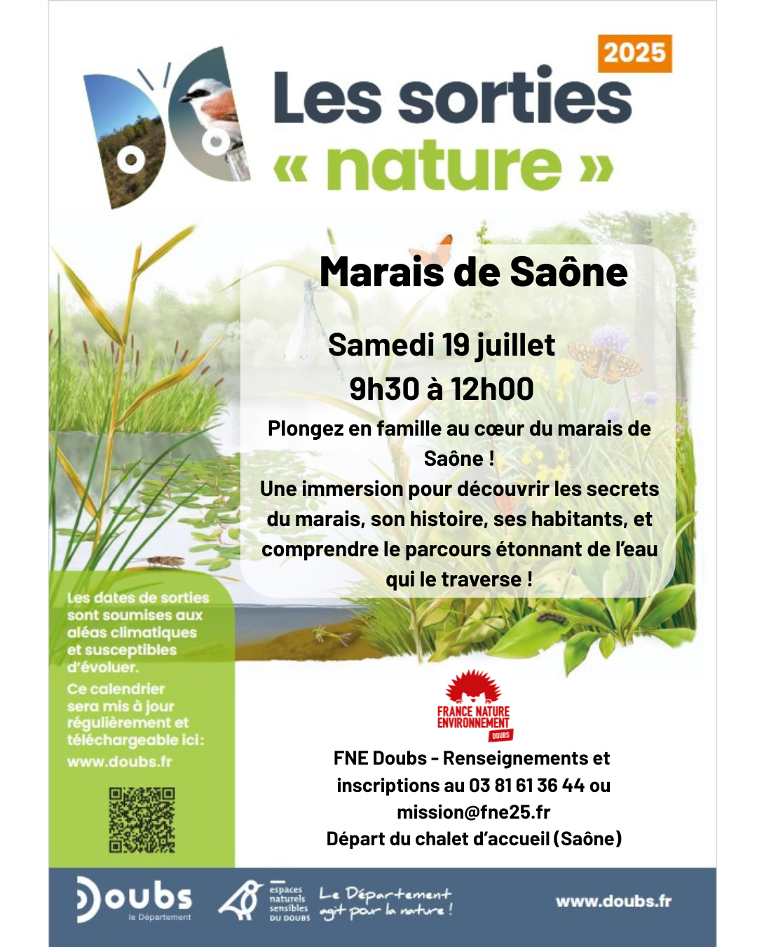Sortie découverte au Marais de Saône le samedi 19 juillet de 9h30 à 12h00.