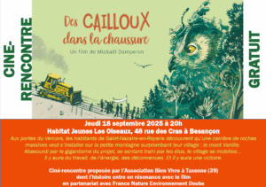 Des cailloux dans la chaussure