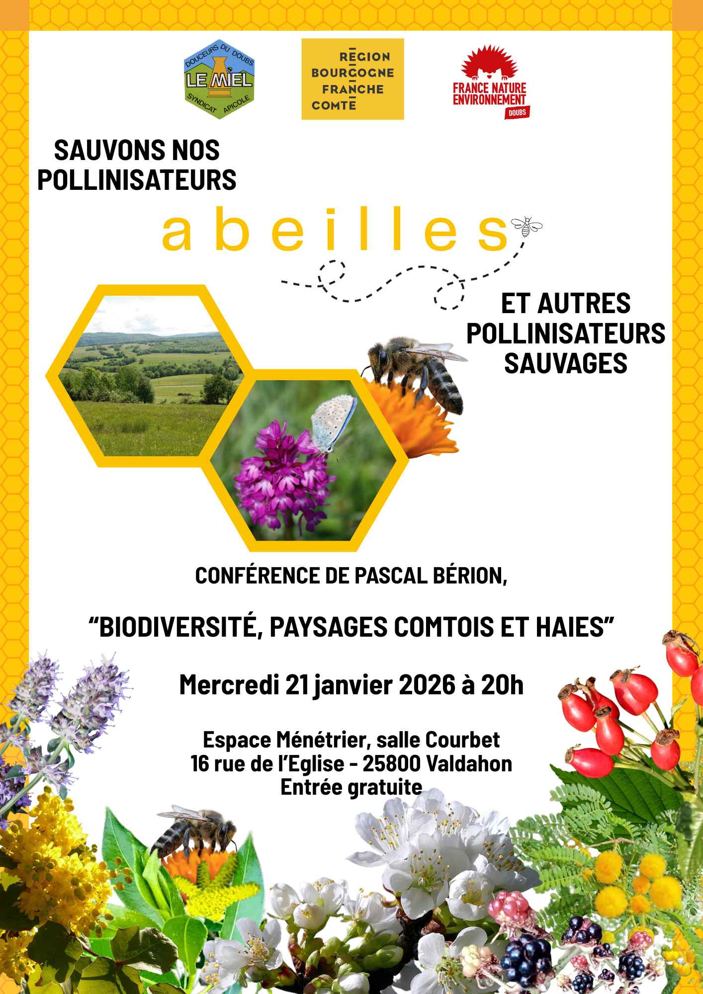 Sauvons nos pollinisateurs : abeilles, et autres pollinisateurs sauvages